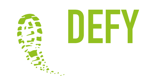logo Defy